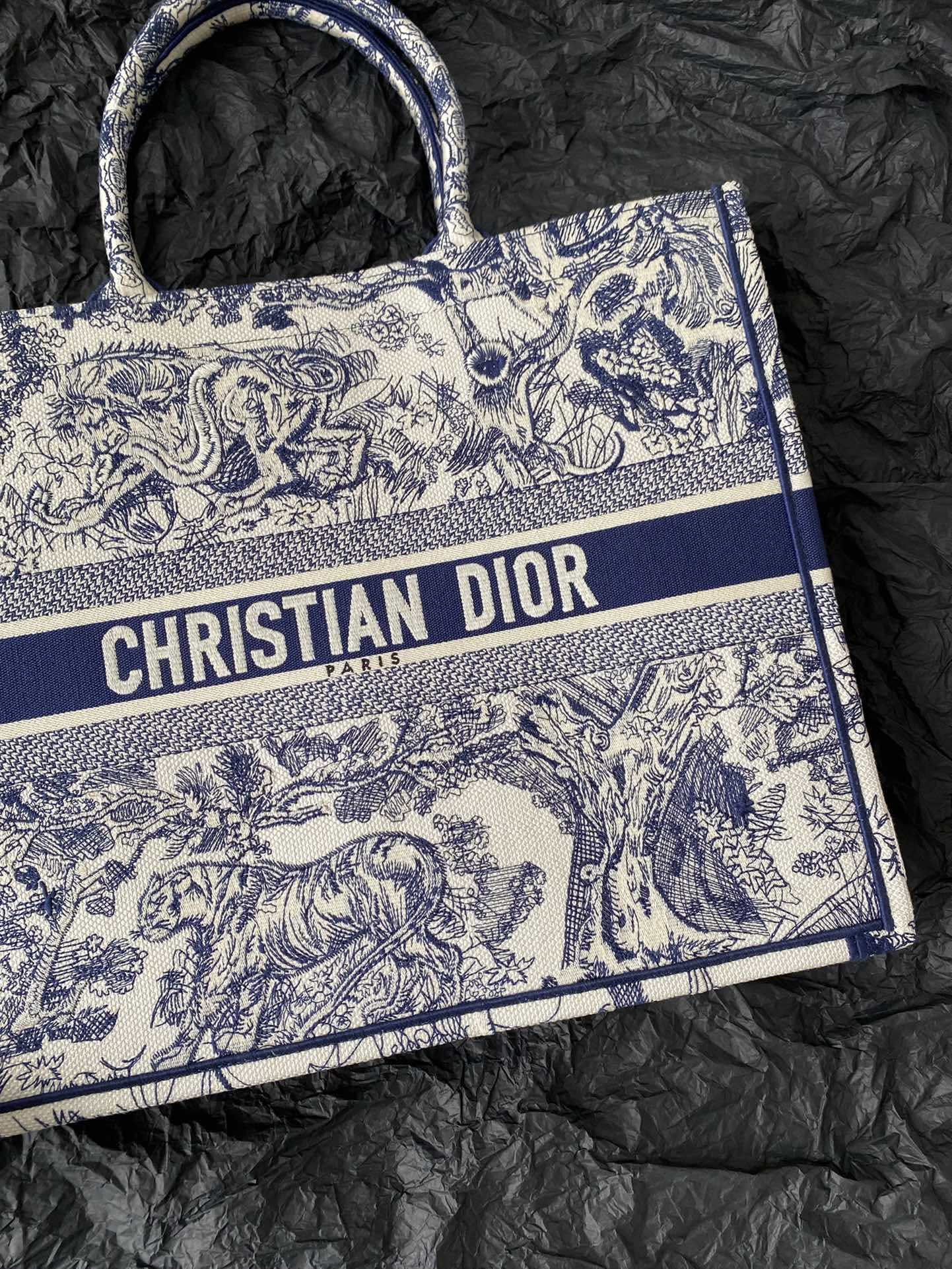 Dior book tote bag
