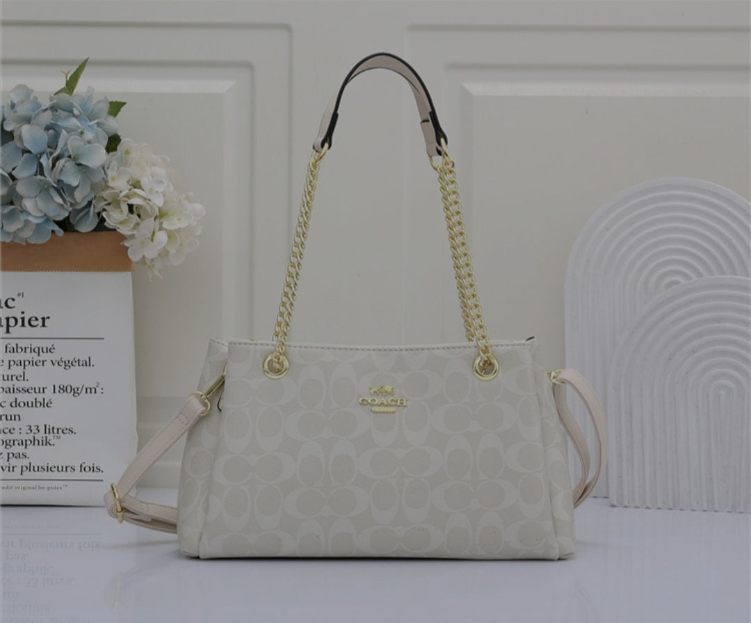 Coach bag with golden chain