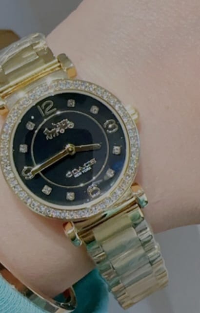 Coach watch