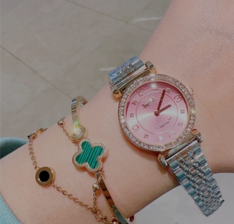 Coach watch
