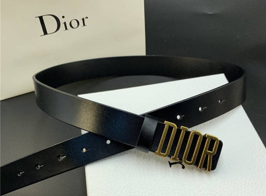 CD belt