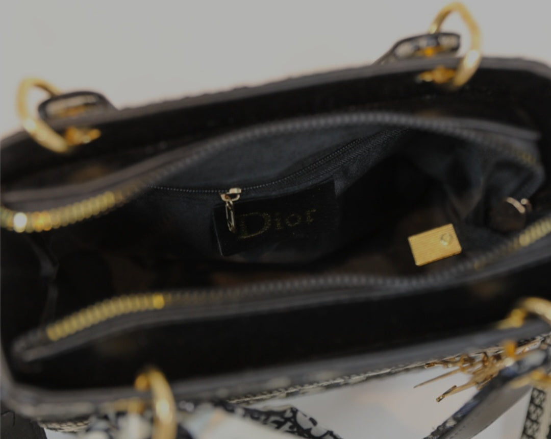 Mini dior dlite bag