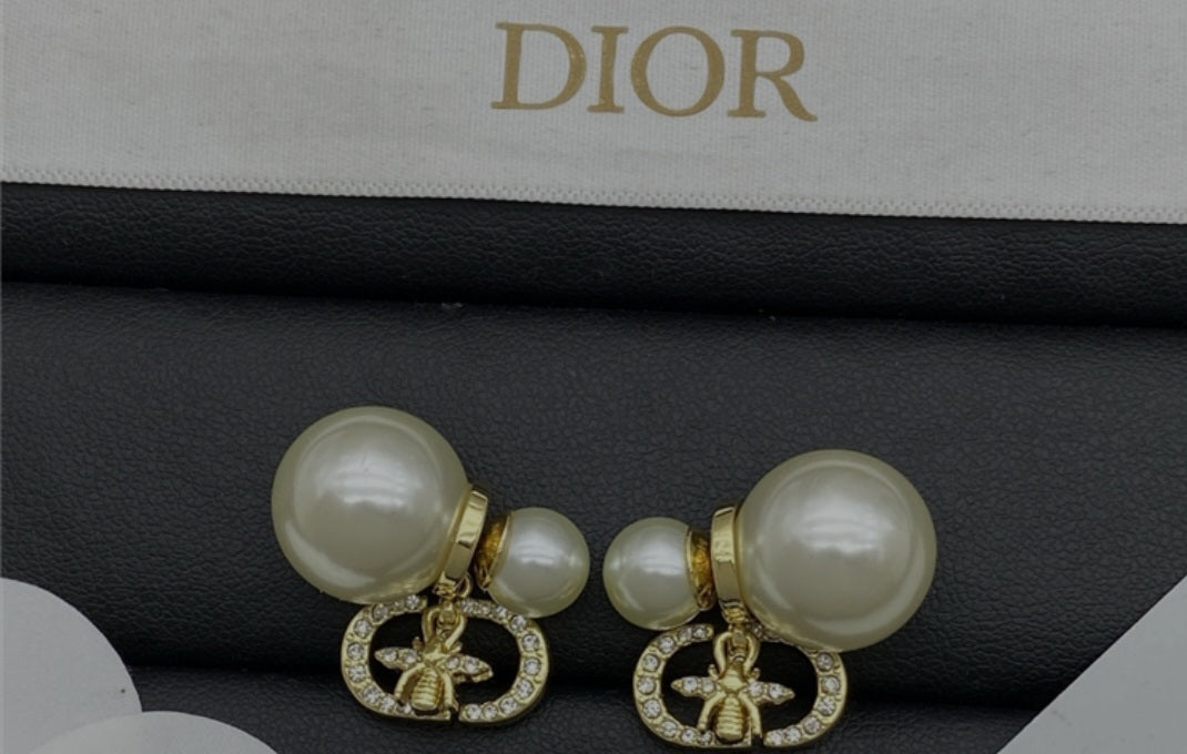 CD  earrings