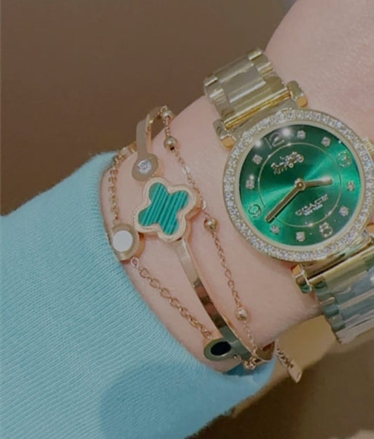 Coach watch